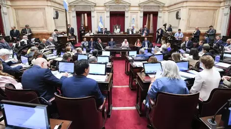 Senado de la Nación. (archivo)