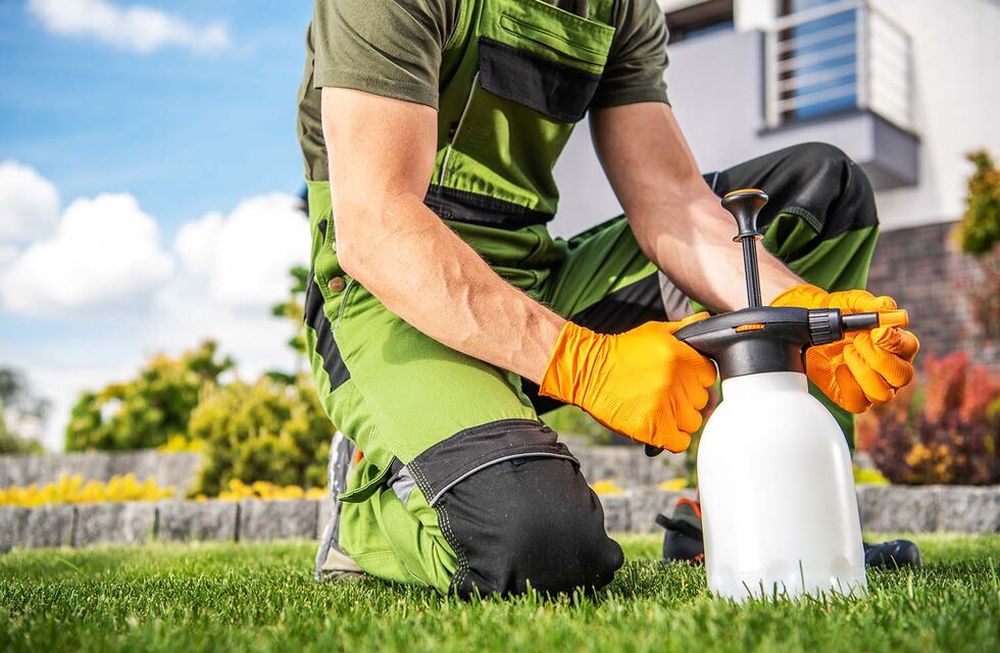 ¿Qué tanto saben los mendocinos sobre insecticidas y su toxicidad?