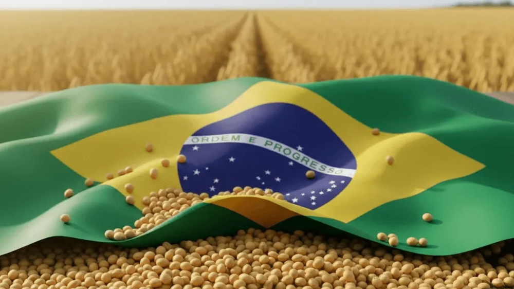 Brasil podría cosechar menos soja de lo previsto.