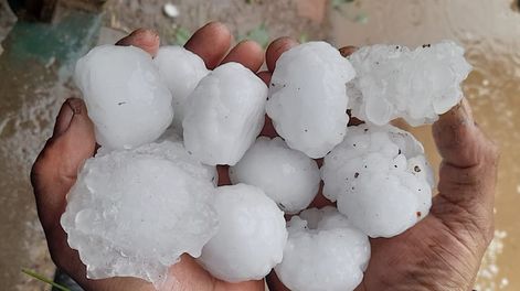 Así fue el tamaño del granizo que azotó la zona de Cuadro Benegas, en San Rafael, y provocó serios daños en cultivos. / Foto: Gentileza