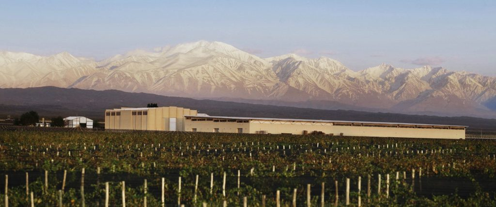 Bodega Doña Paula