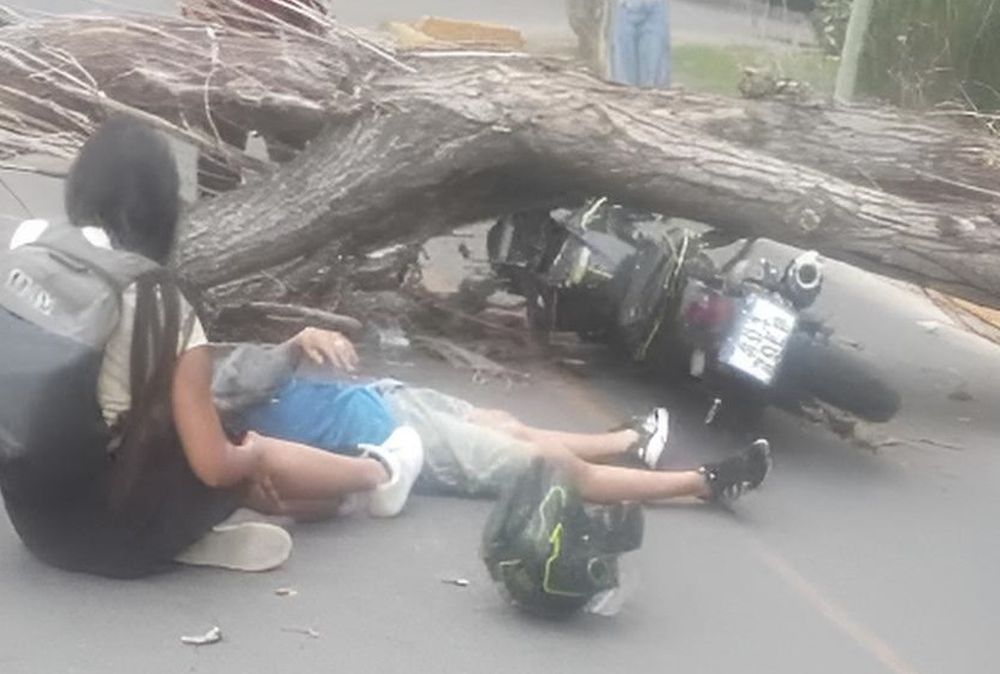 Por el fuerte viento un árbol cayó sobre una moto que circulaba en Guaymallén y dejó dos heridos leves.