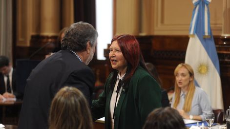 Los Andes | La jueza Ana María Figueroa y el jefe del interbloque del Frente de Todos, José Mayans (Foto: Federico López Claro)