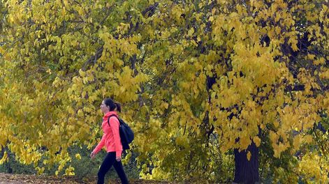Pronóstico del tiempo. Asciende la temperatura este viernes en Mendoza. Archivo / Los Andes&nbsp;