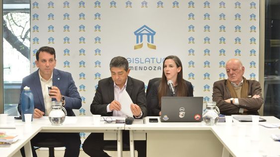 Los ministros Tadeo García Zalazar (Educación) y Mercedes Rus (Seguridad y Justicia), y el subsecretario de Justicia Juan Carlos Jaliff, participaron del debate en el Senado.