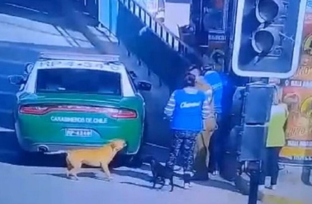 Indignación en Chile por un carabinero que mató a un perro de un balazo
