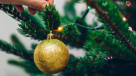 En Facebook ofrecen alimentos no perecederos a cambios de árboles de Navidad.