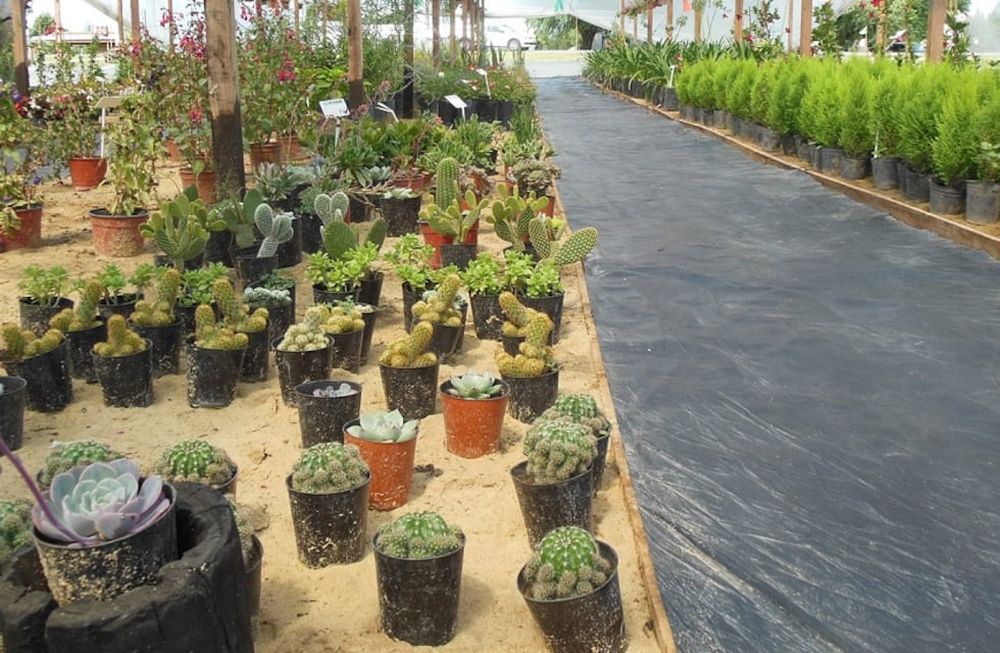 Quiénes podrán solicitar hasta $700 mil en Aportes No Reembolsables