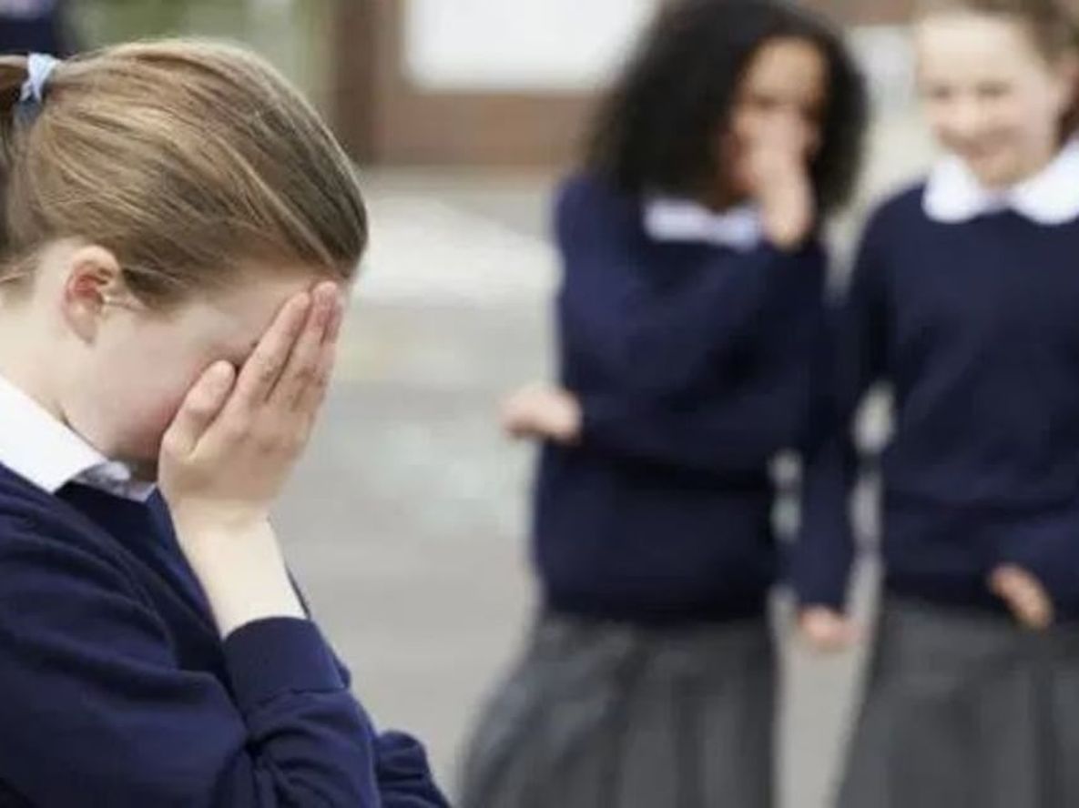 Día Internacional de la Lucha contra el Bullying: cómo deben enfrentar las situaciones los mediadores escolares.