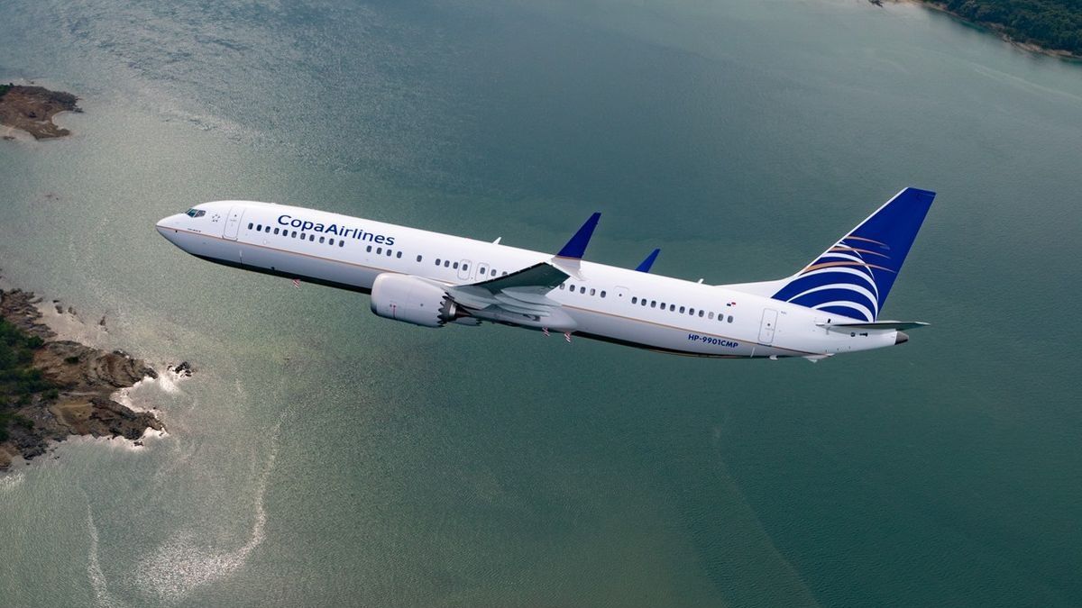 Escándalo en el aire: detuvieron a dos personas por tener relaciones sexuales en un vuelo hacia Rosario