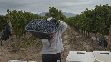 El problema existe, el tema es saber cuánto les costará - Por María Soledad Gonzalez