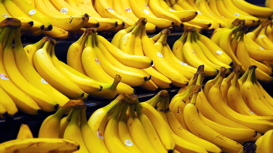 Las bananas están peligro según científicos.